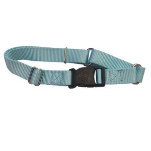 COUNTRY BROOK PETZ Dog Collar Size Large Soft Teal 20"- 25"